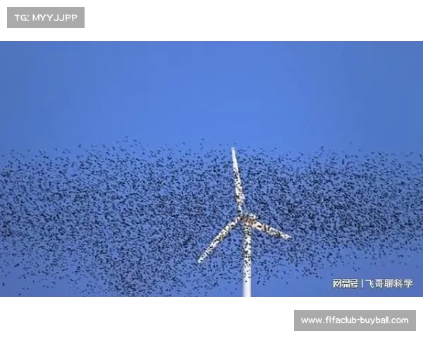 罗马新球场因破坏蝙蝠栖息地再次面临环保组织诉讼 罗马新球场因破坏蝙蝠栖息地再次面临环保组织诉讼